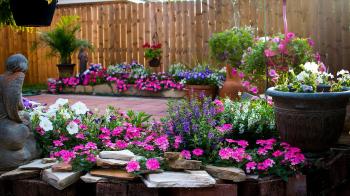 Backyard Flowers Summer 2016 Finale' - YouTube