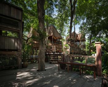 Backyard Jungle: Stunning Eco-Friendly Homes Engulfed in Forest Canopy!
