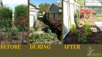 Cutting a backyard jungle down to size - reCREATE
