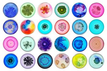 Ideas about Bacteria