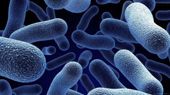 Are Bacteria to Blame for Celiac Symptoms? - Gluten-Free Living