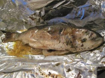 Baked trout fish
