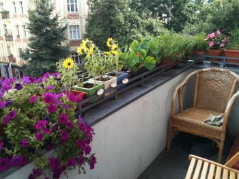 File:Berlin balcony with flowers.jpeg - Wikimedia Commons