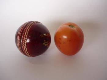 Ball And Tomato