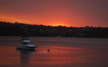 Balmain Sunset | Balmain, Sydney and Sunset
