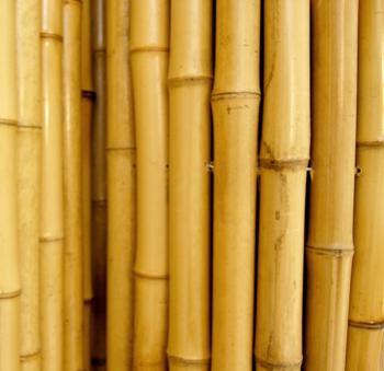 Amazon.com : Natural Rolled Bamboo Fencing 3/4" D x 3' H x 8' L ...