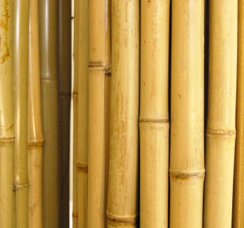 Natural Bamboo Fence 1" D x 6' H x 8' L