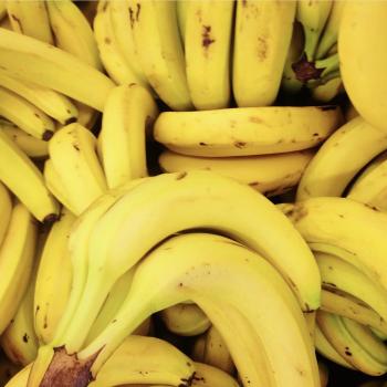 BANANA LEAVE IN SMOOTHIE – tropikalbliss