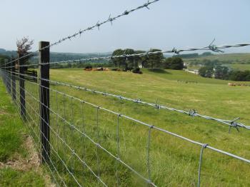 200M HEAVY DUTY GALVANISED HIGH TENSILE BARBED WIRE - James Smith ...