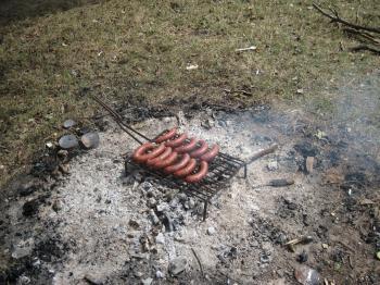 Barbecue in the nature