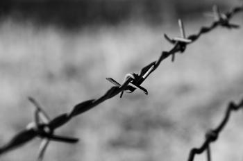 File:Barbed Wire on a moto ride - BW.jpg - Wikimedia Commons