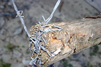 Barbed wire closeup