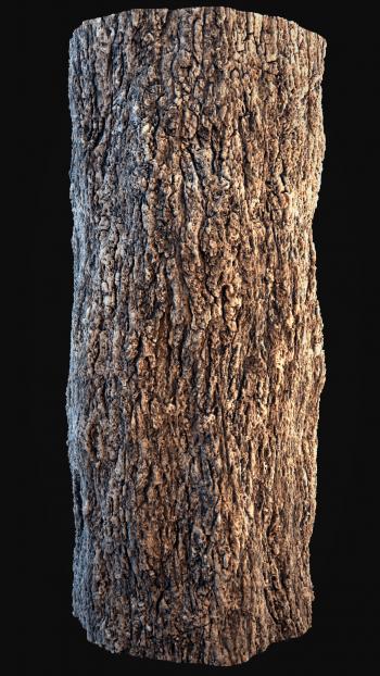 Seamless Pinewood Bark Texture [FREE DOWNLOAD] - Finished Projects ...