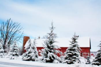 Barn at Winter