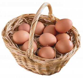 Eggs Basket Four | Isolated Stock Photo by noBACKS.com
