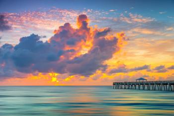 Palm Beach Tech Association - Building the Palm Beaches into a Tech Hub