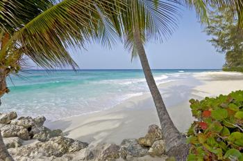 Barbados Resorts | Turtle Beach – Elegant Hotels | Barbados All ...