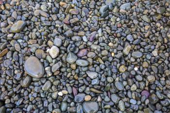 Beach rocks