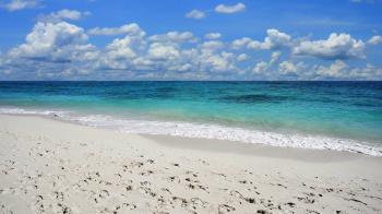 Beautiful tropical beach scene with tilting up camera Stock Video ...