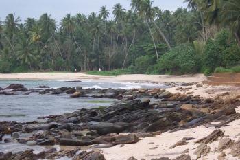 Beach Sri Lanka