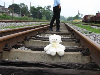 Bear on the railroad