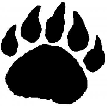 Pin by Andrea Denker on Andrea | Pinterest | Bear paws and Bears