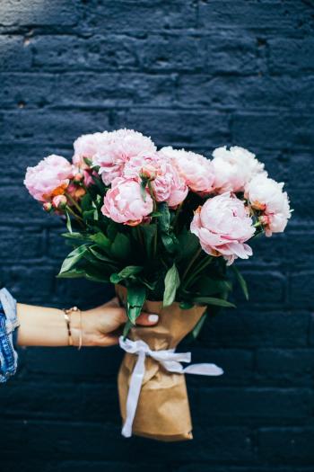 Free stock photo of beautiful, beautiful flowers, bouquet