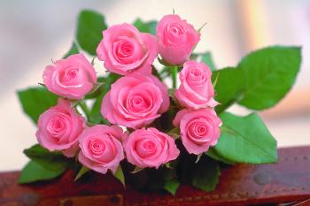 Beautiful Flowers Images QyGjxZ Exceptional Of | ohidul.me