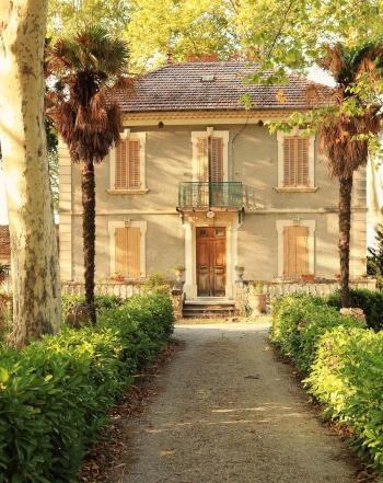 French Larkspur} Provence | O.P.P. | Pinterest | Provence, France ...