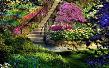 Beautiful Garden Wallpapers - Wallpaper Cave