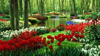 BEAUTIFUL GARDEN, YOUR BEAUTIFUL HEART - RINDE GBENRO