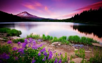 Beautiful Landscape Wallpapers HD Images – One HD Wallpaper Pictures ...