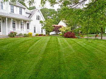 Germantown Lawn Services • Collierville Lawn Care