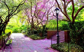 Amusement Parks: BEAUTIFUL PARK Blooms Bench Lamp Post Trees ...