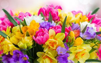 Beautiful Spring Flowers ❤ 4K HD Desktop Wallpaper for 4K Ultra HD ...