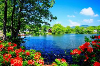 Widescreen Beautiful Images Of Nature With Pictures On Beauty High ...