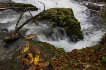 Beaver Creek, Oregon with Fall Leaves