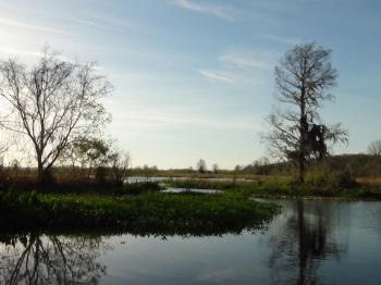 Canoe and Kayak Tripin Florida - Adventure Outpost