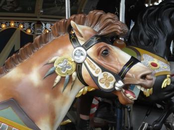 Jane's Carousel (Brooklyn, NY): Top Tips Before You Go - TripAdvisor ...