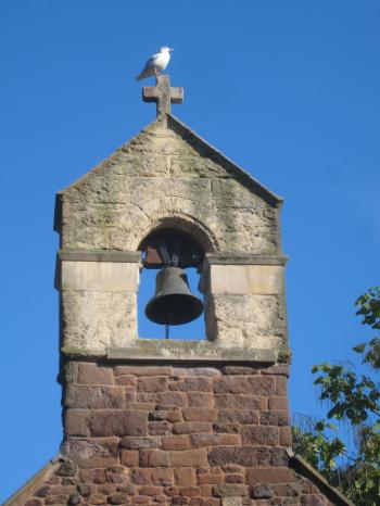 Seagull on the bell tower | mybeautfulthings