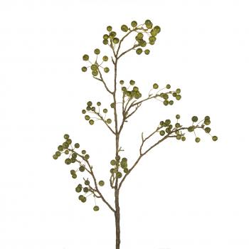 Sia Date Berry Stem Green Height 115cm | Pavilion Broadway