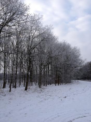 Vandijkonline - weblog: januari 2013