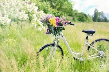 Bicycle in the Field