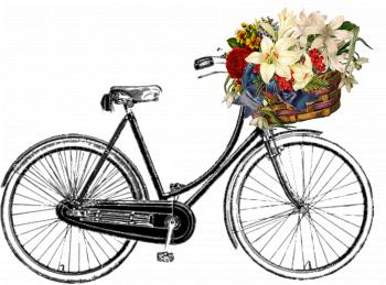 Bicycle With flowers