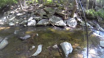 Fly Fishing Big Hunting Creek 05/31/14 Thurmont, MD - YouTube