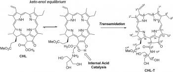 Semi-synthesis and PDT activities of a new amphiphilic chlorin ...