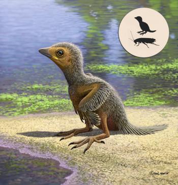 Early Cretaceous Bird Fossil Sheds New Light on Avian Evolution ...