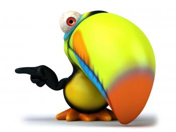 Toucan Bird 2 | Photosfine