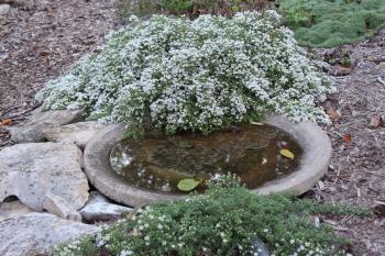 Ground Level Bird Baths Uk - Round Designs
