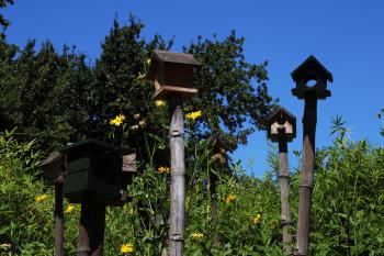 Birdhouses in the grass